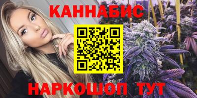 шишки Новодвинск