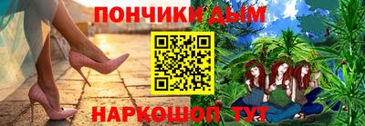 прущие грибы Новозыбков