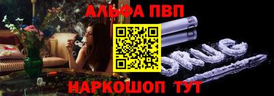 шишки Новодвинск