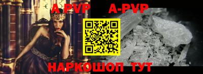 шишки Новодвинск