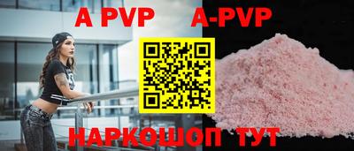 шишки Новодвинск