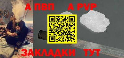 шишки Новодвинск