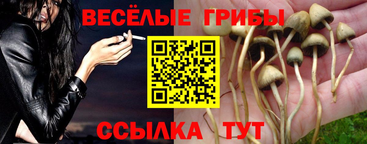 Удомля  Галлюциногенные грибы Psilocybine cubensis  Вход с VPN 